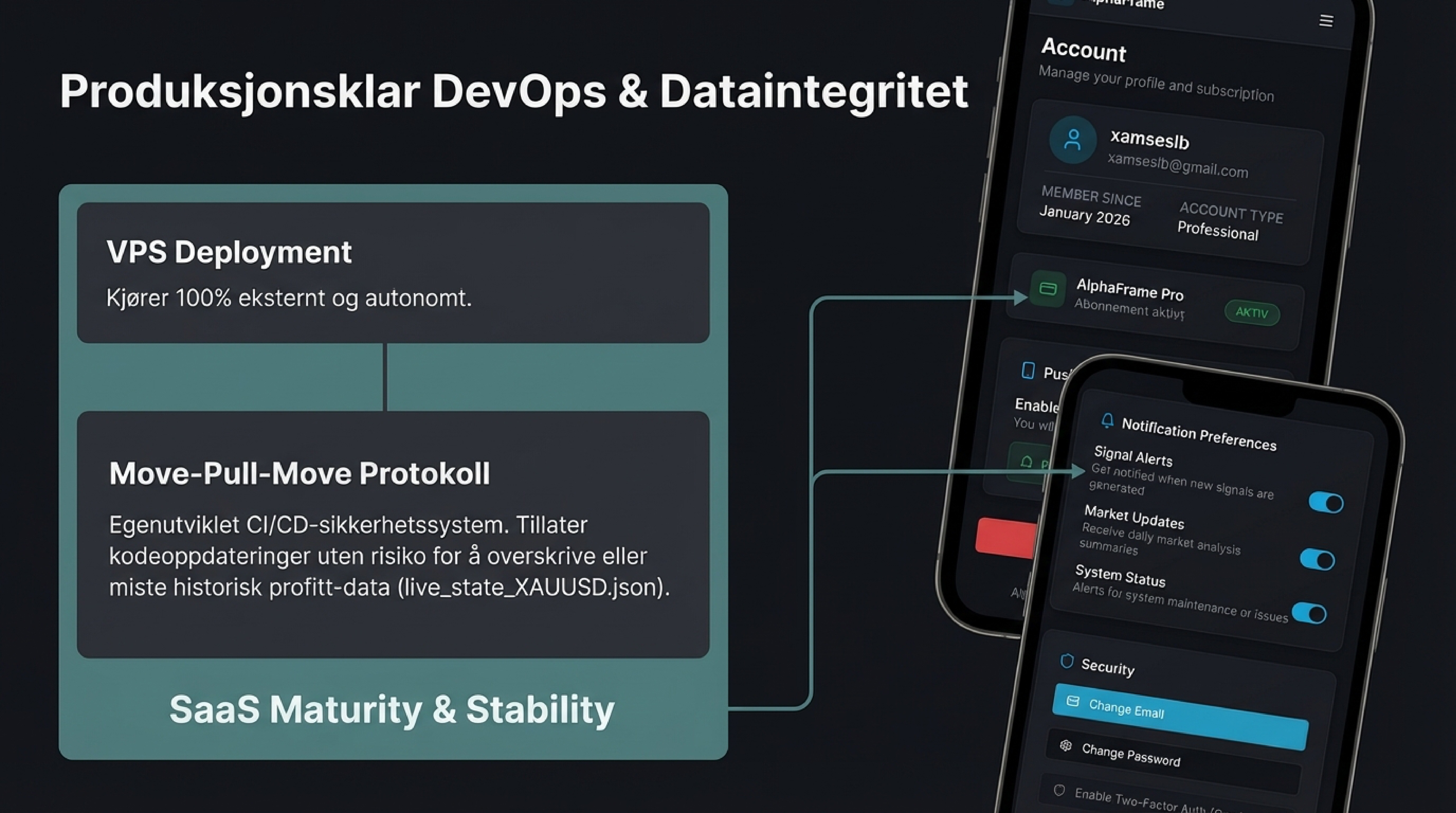 AlphaFrame Presentation Slide 7